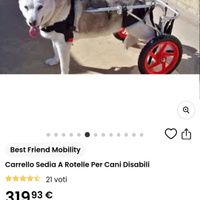 Carrellino deambulatore cane tg.L