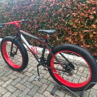 Fat bike