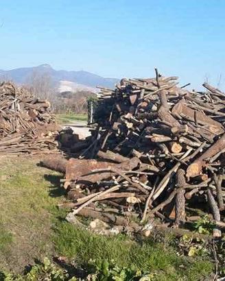 Legna da Ardere