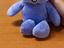 Immagine 5