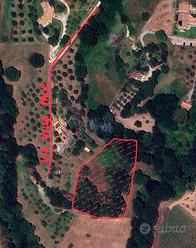 Terreno agricolo Celleno