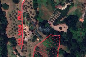 Terreno agricolo Celleno