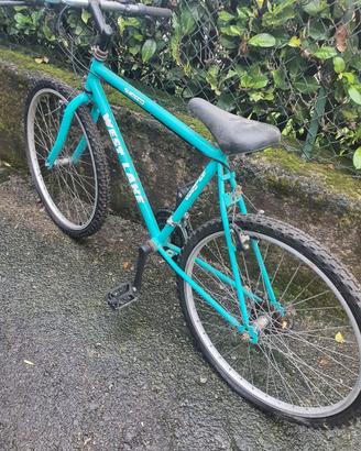 Bicicletta uomo 