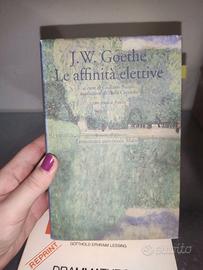 Libro Le affinità elettive - Goethe