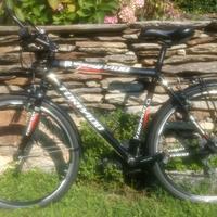 Bici Torpado T830 Sportage
