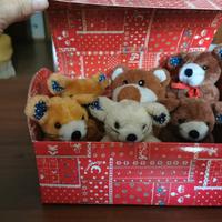6 orsetti peluche con bauletto