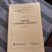 Principi di Economia Aziendale di Giuseppe Catturi