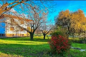 Terreno edificabile 860 mq