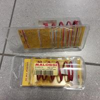 296955.R0 malossi molla variatore piaggio Ciao