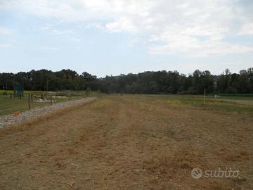 TERRENO AGRICOLO A CONGIUNTI