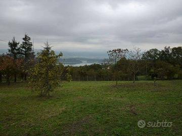 Terreno di 31400 m² a Altopascio