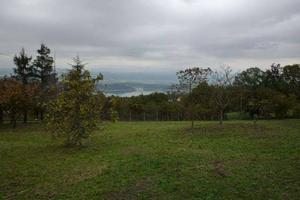 Terreno di 31400 m² a Altopascio