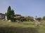 Immagine 14