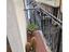 Immagine 16