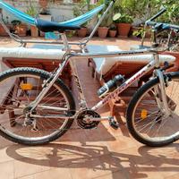 Bici Bottecchia Taiga 883R