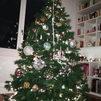 Albero di natale