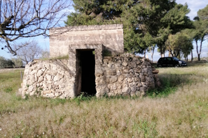 TRULLO SARACENO con ULIVETO zona industriale