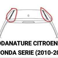 MODANATURE FASCE "TETTO CITROEN C3  2010/2016"