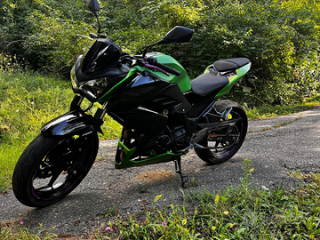 Kawasaki z 300