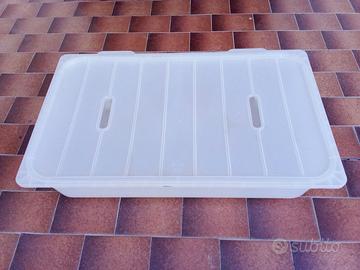 Contenitore di plastica trasparente con coperchio