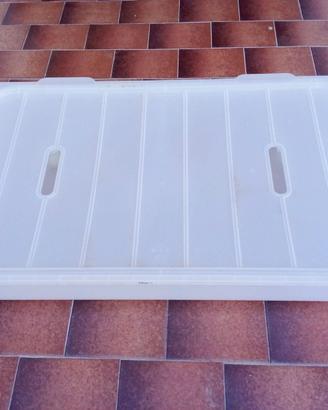 Contenitore di plastica trasparente con coperchio
