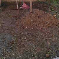 terra per Giardino/orto 