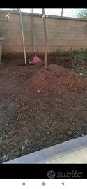 terra per Giardino/orto 