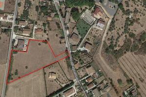 Ferentino (Fr) - Terreno agricolo mq 9400
