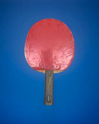 Racchetta Ping Pong Yasaka Jean Philippe Gatien