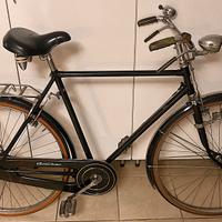 Bicicletta Stella Veneta uomo