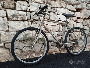 Mountain bike 
