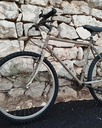 Mountain bike 