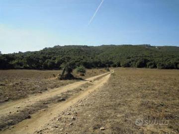 Immobile in asta di 786308 m² a Aggius