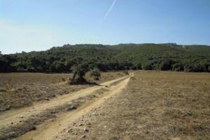 Immobile in asta di 786308 m² a Aggius