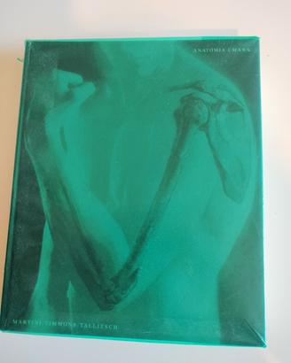 Anatomia Umana , Martini