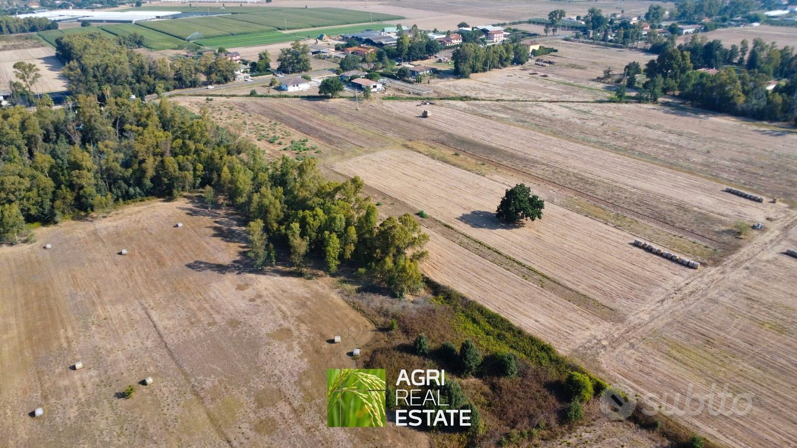 Terreno agricolo 4 ettari fronte strada con pozzo - Vista 2