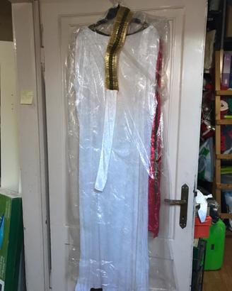 Vestito carnevale