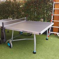 tavolo da ping pong