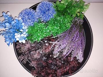 Piantine colorate per acquario