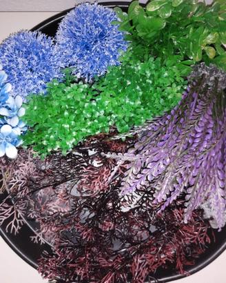 Piantine colorate per acquario