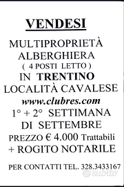 Multiproprieta Trentino cavalese