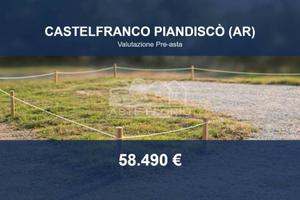 Immobile in asta di 4084 m² a Castelfranco Piandis