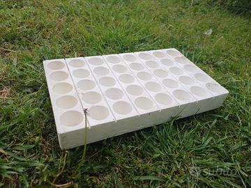 termoformato per semenzaio