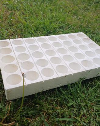 termoformato per semenzaio