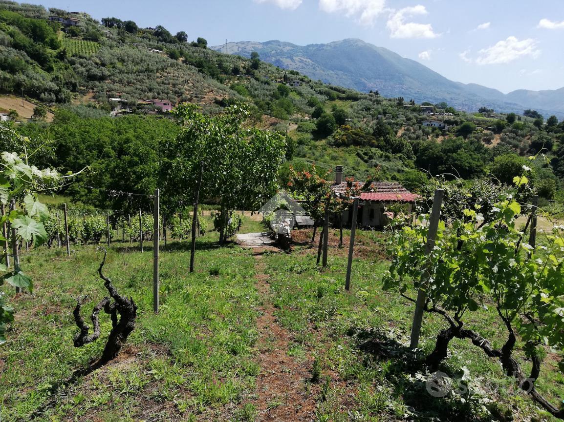 RUSTICO A OLEVANO ROMANO - Vista 3