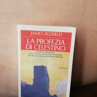 libro La profezia di Celestino 
