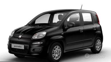 FIAT Panda 1.0 Hybrid Pop 70CV PRONTA CONSEGNA