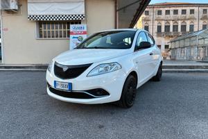 Lancia Ypsilon 1.2 69 CV 5 porte Elefantino