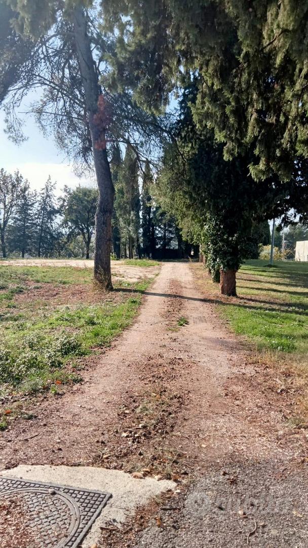 Terreno Edificabile a Treia: 5.000 mq pianeggianti - Vista 2