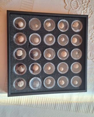 Palle da moschetto inizio 900